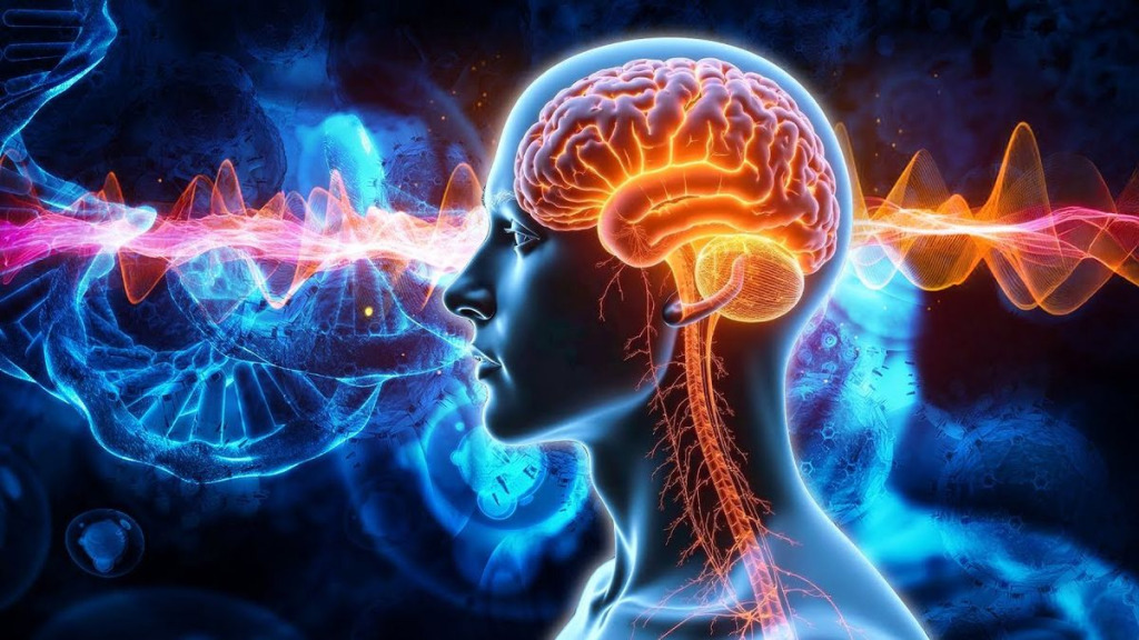 hệ thần kinh bị quá tải do stress