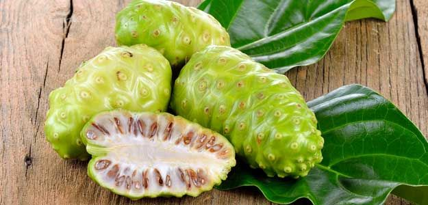 TÁC DỤNG CHỮA BỆNH KỲ DIỆU CỦA QUẢ NHÀU