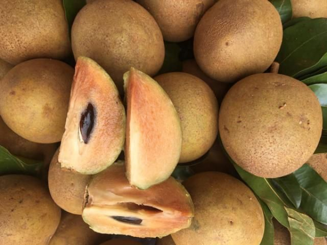 QUẢ HỒNG XIÊM THỰC PHẨM CHO HỆ MIỄN DỊCH