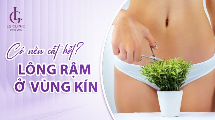 NGUYÊN NHÂN PHỤ NỮ RẬM LÔNG